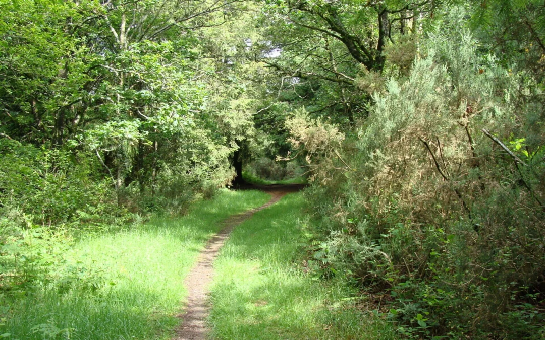 Matinées d’entretien des chemins