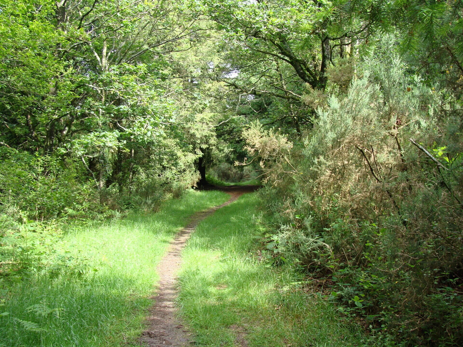 Chemin communal