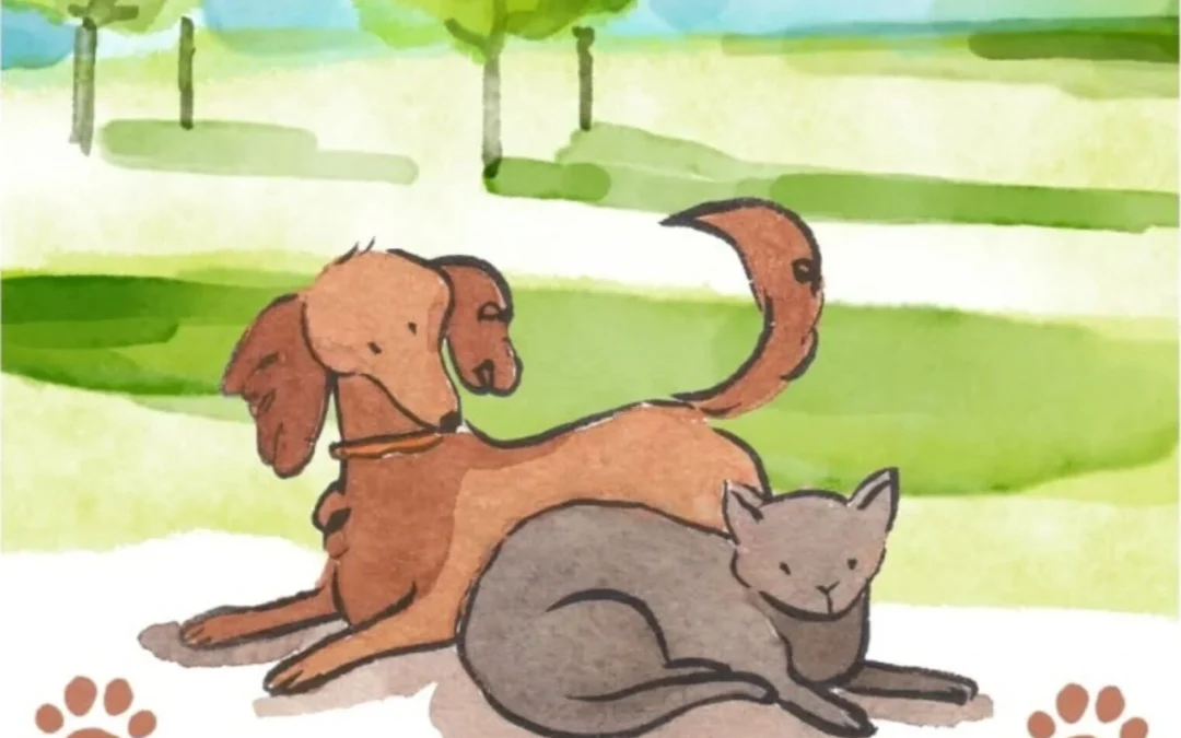 Portes ouvertes de la S.P.A. du Pays de Pontivy