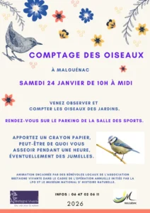 Comptage oiseaux