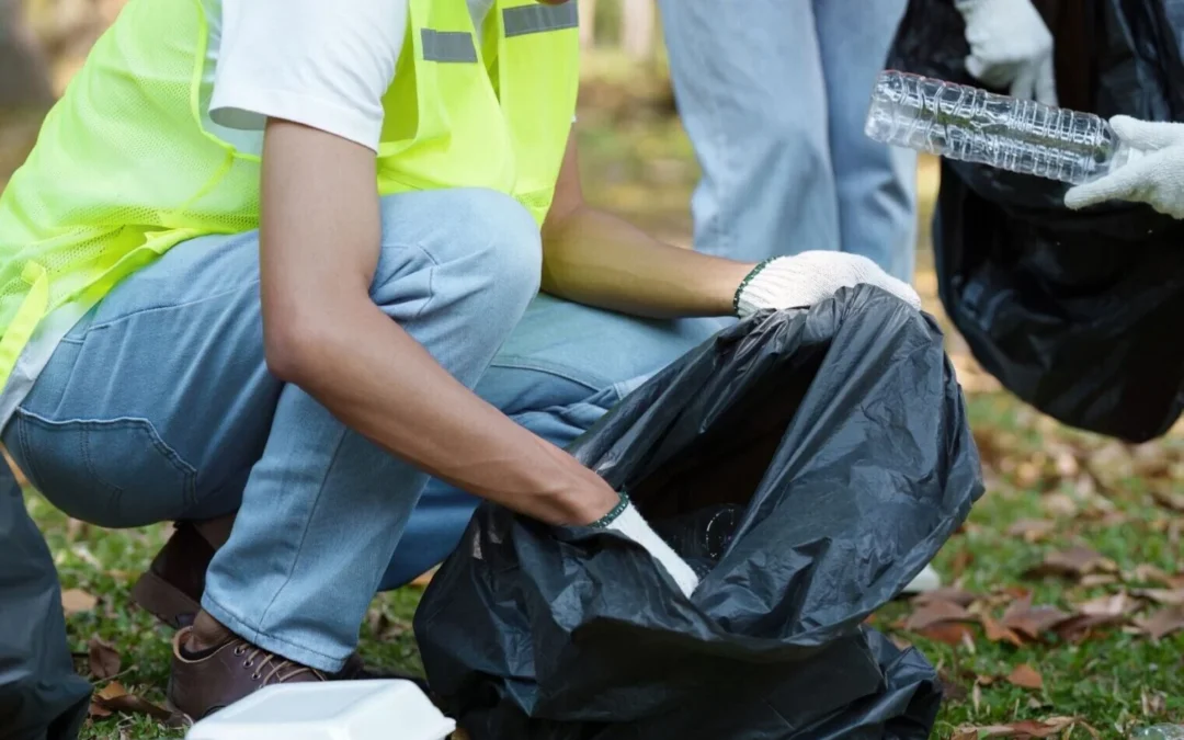 Nettoyage du bord de la route